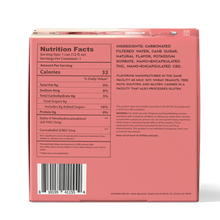 Load image into Gallery viewer, Margo Price x WellBeing 5mg THC + 5mg CBD Peach Tea Infused Seltzer