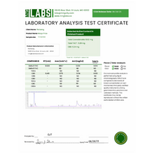 Load image into Gallery viewer, Margo Price x WellBeing 5mg THC + 5mg CBD Peach Tea Infused Seltzer