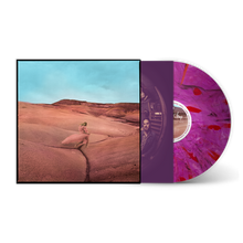 Load image into Gallery viewer, Strays Vinyl